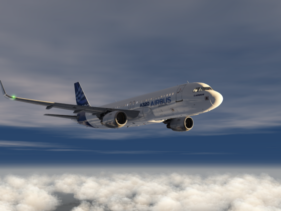 Morning departure